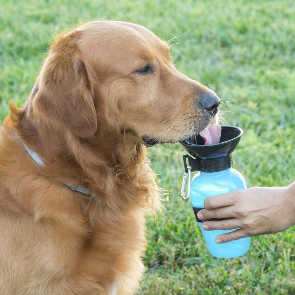 Dog Water Bottle-Dispenser™️